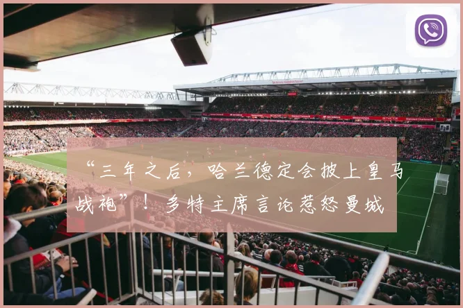 “三年之后,哈兰德定会披上皇马战袍”!多特主席言论惹怒曼城